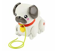 Cane Interattivo Fisher-Price
