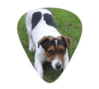 Cane Jack Russell,12 pezzi di plettri per chitarra, 3 plettri di diverso spessore per chitarra acustica, basso, ukulele