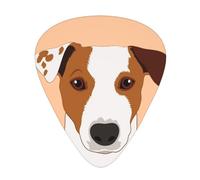 Cane Jack Russell Terrier,12 pezzi di plettri per chitarra, 3 plettri di diverso spessore per chitarra acustica, basso, ukulele