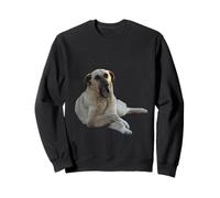 Cane Kangal Che sbadiglia vettoriale Tagliato Felpa