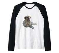 Cane Kangal Che sbadiglia vettoriale Tagliato Maglia con Maniche Raglan