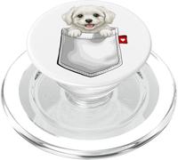 Cane maltese in tasca che sbircia cucciolo di cane carino PopSockets PopGrip per MagSafe