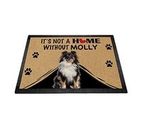 Cane Pastore Shetland Carino Personalizzato, Non È Una Casa Senza Cane Tappeto Ingresso Casa Antisporco Tappeti D'Ingresso Divertenti Tappetino Da Bagno Per Terrazzo Interno Camera Letto 40X60Cm