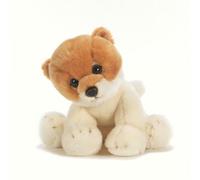 CANE POMERANIA CM30 SPITZY