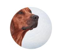 Cane Rhodesian Ridgeback, magneti da frigorifero in acrilico, adesivi, magneti da lavagna bianca per la decorazione di cucina e mobili,Forma rotonda
