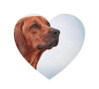 Cane Rhodesian Ridgeback, magneti da frigorifero in acrilico, adesivi, magneti da lavagna bianca per la decorazione di cucina e mobili,A forma di cuore