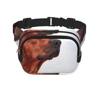 Cane Rhodesian Ridgeback, Marsupio quadrato a doppio strato, borsa da viaggio, marsupio casual