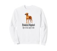 Cane Rhodesian Ridgeback, Motivo «Coraggio nel Cuore» Felpa