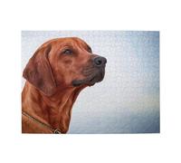 Cane Rhodesian Ridgeback, puzzle da 500 pezzi per adulti - Puzzle in legno per adulti e anziani