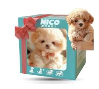 Cane Robot Nico, Cani Robotici Ai Realistici, Cucciolo Robotico Che Si Comporta Come Un Cane Reale, Cani Giocattolo Elettronici Interattivi Per Sedersi, Abbaiare, Camminare E Correre White