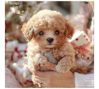 Cane robot per adulti, cane robot con intelligenza artificiale, Nicoo - Il mio cucciolo robot realistico che si comporta come un v