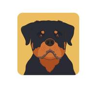 Cane Rottweiler, magneti da frigorifero in acrilico, adesivi, magneti per lavagna bianca per la decorazione di mobili e cucine,Piazza
