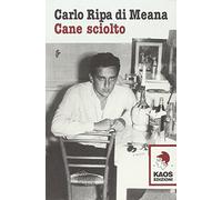 Cane sciolto