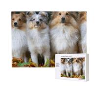Cane Shetland carino, foglia gialla,Puzzle in legno da 500 pezzi, gioco di famiglia, puzzle per adulti e adolescenti, decorazioni per la casa