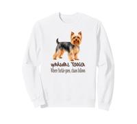 Cane Yorkshire Terrier Dove Yorkie va Caos Segue Felpa