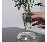 Canestro di clonazione progettato per applicazioni di coltura senza suolo, tra cui DWC NFT e sistemi di riflusso e flusso con integrazione stabile del tubo (A0 10pcs)