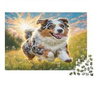 Canetto Carino - Carta resistente - Pastore Australiano che salta nell’erba - Puzzle - Stimolante per la mente - Antistress - 38x26cm/1000 pezzi