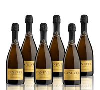 CANEVEL "IL MILLESIMATO" 2025 | Valdobbiadene Prosecco Superiore DOCG Millesimato Extra Dry | 6x750 ml | 6 bottiglie