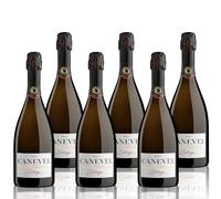 CANEVEL "SETÀGE BRUT" 2025 | Valdobbiadene Prosecco Superiore DOCG | 6x750 ml | Confezione 6 bottiglie