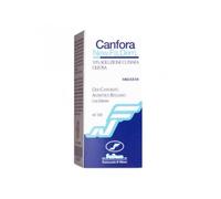 CANFORA*10% SOL OLEOSA 100ML