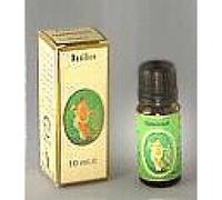 CANFORA OLIO ESS 10ML FLORA