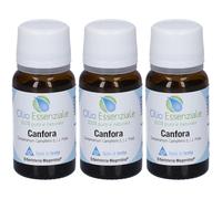 Canfora Olio Essenziale 10 Ml 3x10 ml Olio