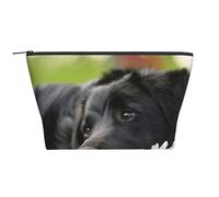 Cani Black Labrador Camomilla Black Retriever, Borsa da toilette Borsa per trucco Borsa per cosmetici Borsa da toilette da viaggio portatile