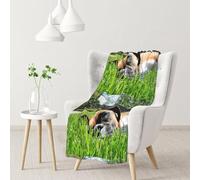 Cani Boxer Animali da compagnia Erba verde Cani da prato,Coperta morbida, calda, anti-pilling, in flanella, peluche, 76 x 102 cm