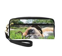 Cani Boxer Erba verde Animali domestici Cani da prato, Borsa per il trucco Borsa per cosmetici Borsa da viaggio portatile da toilette Astuccio in pelle per donne e ragazze
