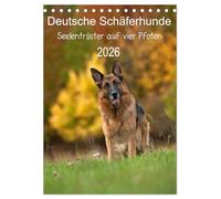 Cani da pastore tedeschi - Consolatore dell'anima su quattro zampe (calendario da tavolo 2026 DIN A5 alto), calendario mensile Calvendo - anche loro invecchiano (animali Calvendo)
