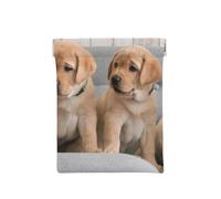 Cani Golden Retriever Cuccioli Cani Labrador, Spremere il portafoglio superiore da donna Borsa portaoggetti Piccola portamonete Portamonete