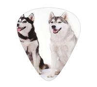 Cani Husky stampati,12 pezzi di plettri per chitarra, 3 plettri di diverso spessore per chitarra acustica, basso, ukulele