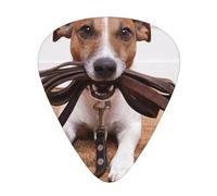 Cani Jack Russell Terrier Animali,12 pezzi di plettri per chitarra, 3 plettri di diverso spessore per chitarra acustica, basso, ukulele
