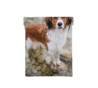 Cani Nel Fiume Acqua Marrone Bianco Cani Paniel, Spremere il portafoglio superiore da donna Borsa portaoggetti Piccola portamonete Portamonete