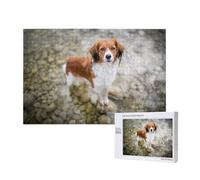 Cani nel fiume d'acqua Cani marroni bianchi Pannello,Puzzle in legno da 1000 pezzi per famiglie, puzzle per adulti e adolescenti