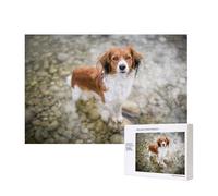 Cani nel fiume d'acqua Cani marroni bianchi Pannello,Puzzle in legno da 300 pezzi per famiglie, per adulti e adolescenti, decorazioni per la casa