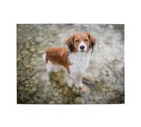 Cani nel fiume d'acqua, cani marroni e bianchi, puzzle da 500 pezzi per adulti, puzzle in legno per adulti e anziani