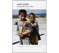 Cani perduti senza collare