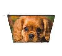 Cani ricci marroni Cavalier King Charles Spaniel, Borsa da toilette Borsa per trucco Borsa per cosmetici Borsa da toilette da viaggio portatile