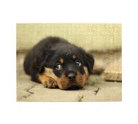 Cani Rottweiler Cani carini Cuccioli Animali domestici Piccoli, Puzzle da 500 pezzi per adulti - Puzzle in legno per adulti Anziani