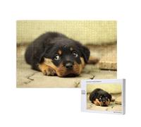 Cani Rottweiler Cani carini Cuccioli Animali domestici Piccoli,Puzzle in legno da 1000 pezzi per famiglie, puzzle per adulti e adolescenti