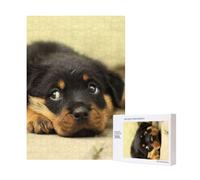 Cani Rottweiler Cani carini Cuccioli Animali domestici Piccoli,Puzzle in legno da 300 pezzi per adulti e adolescenti