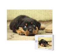 Cani Rottweiler Cani carini Cuccioli Animali domestici Piccoli,Puzzle in legno da 300 pezzi per famiglie, per adulti e adolescenti, decorazioni per la casa
