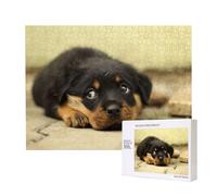 Cani Rottweiler Cani carini Cuccioli Animali domestici Piccoli,Puzzle in legno da 500 pezzi, gioco di famiglia, puzzle per adulti e adolescenti, decorazioni per la casa