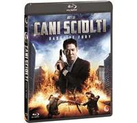 Cani sciolti. Badges of Fury (Blu-ray)