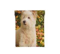 Cani Westie Autumn West Highland White Terrier, Spremere il portafoglio superiore da donna Borsa portaoggetti Piccola portamonete Portamonete