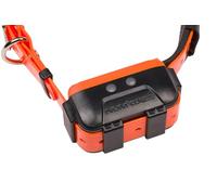 CANICOM GPS 2 - Collare aggiuntivo