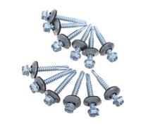 CANIGHT 100 Pezzi Viti Autofilettanti per Coperture Metalliche 5, 5x38mm,