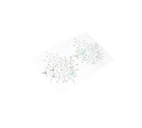 CANIGHT Acrylic Rhinestone Face Gems Adesivi Brillantini Per Trucco Decorazioni Per Volto e Fronte Accessori Per Feste Tematiche e Cosplay