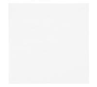 CANIGHT Tappetino Antiscivolo Rotondo Bianco Silicone Essiccatore Resistente in e Texture Usare per Frutta Carne da Essiccatori e Disidratatori